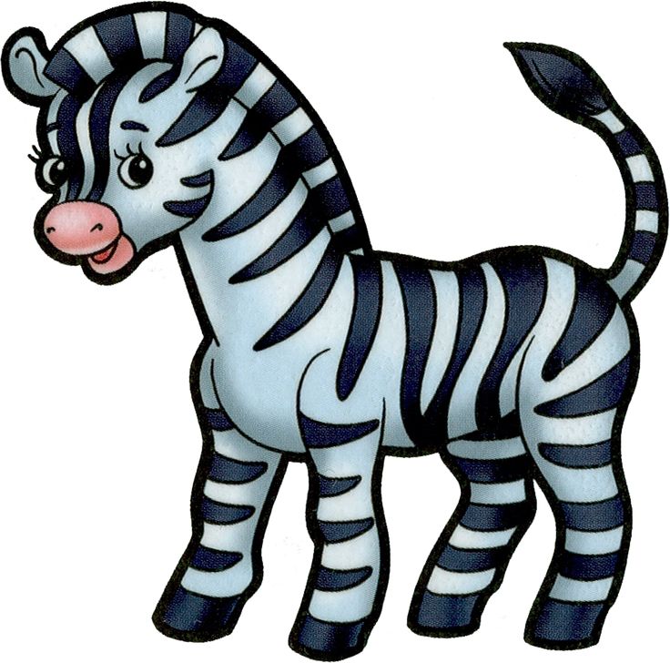 736x728 Zebra Clipart