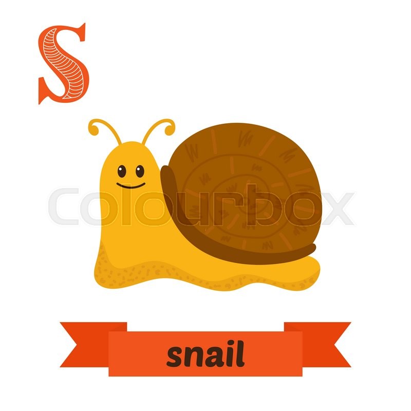 800x800 Snail. S Letter. Cute Children Animal Alphabet In Vector. Funny