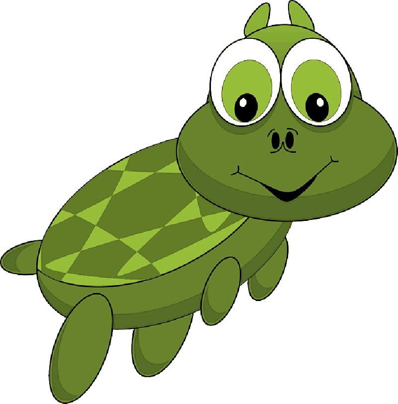 800x812 Turtle, Tortoise, Animal, Cartoon, Zoo, Funny, Comic