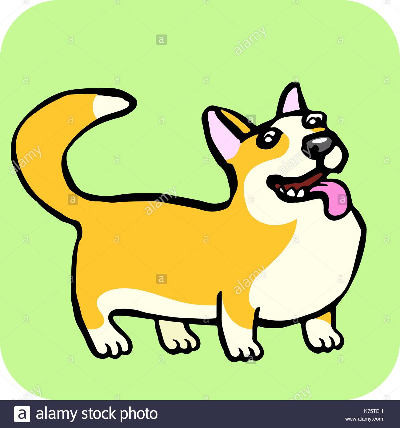 1300x1390 Corgi Dog Isolated Vector Illustration. Funny Cartoon Fur. Contour
