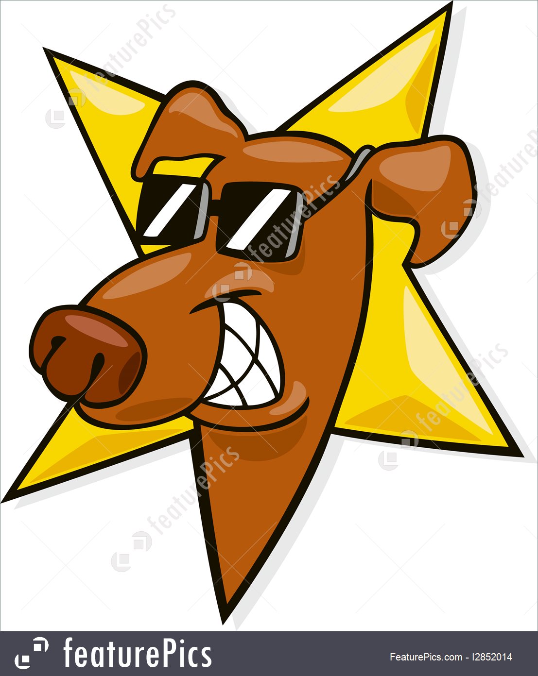 1107x1392 Pets Dog Star