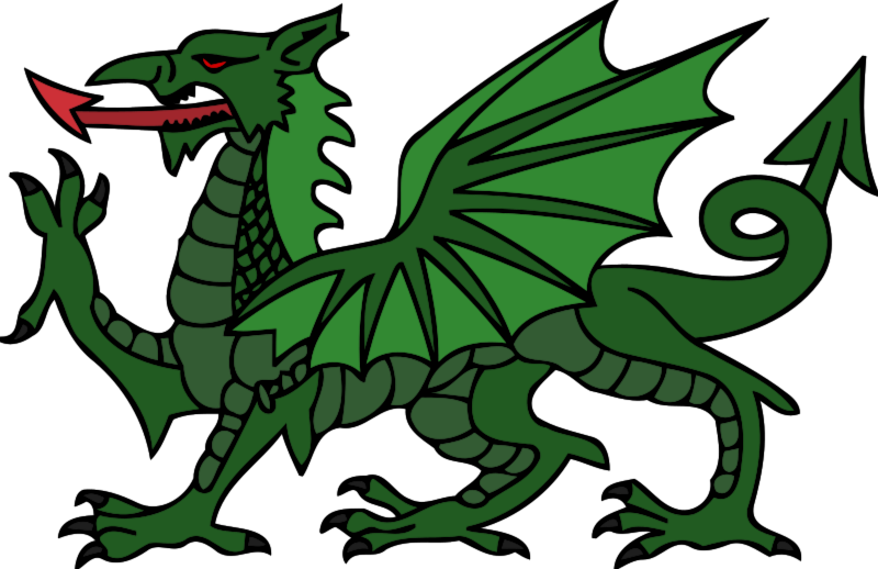 800x518 Free To Use Amp Public Domain Dragon Clip Art