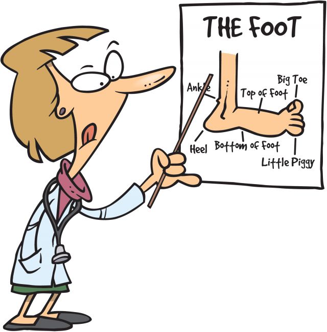 640x651 Feet Clipart Foot Doctor