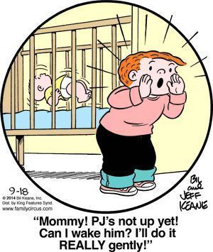 300x355 1619 Best Funny Stuff