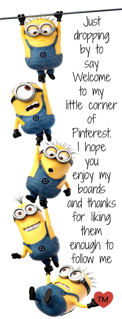 505x1315 Best Minion Thank You Ideas Minion Humor