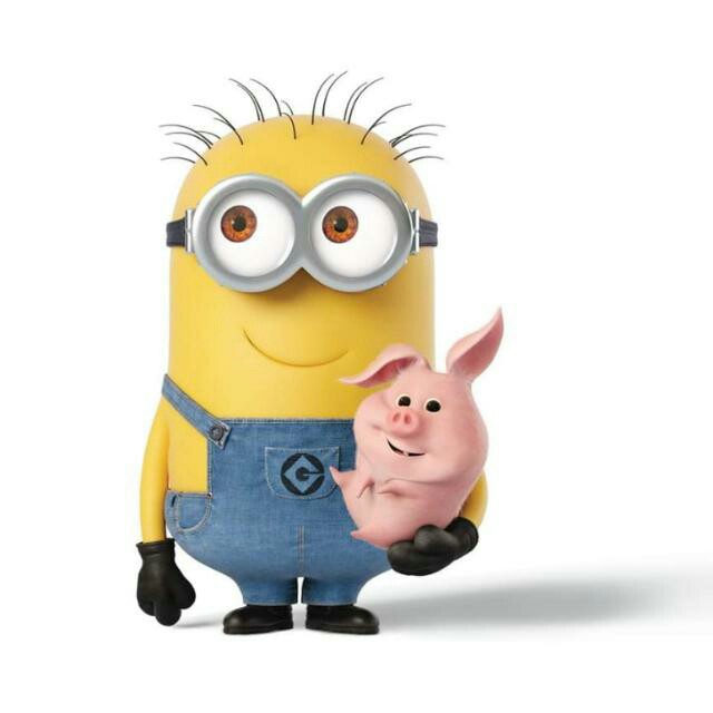 640x640 Pin By Edu.art On Minion Minions Friends And Humor