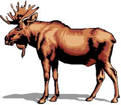 Funny Moose Clipart