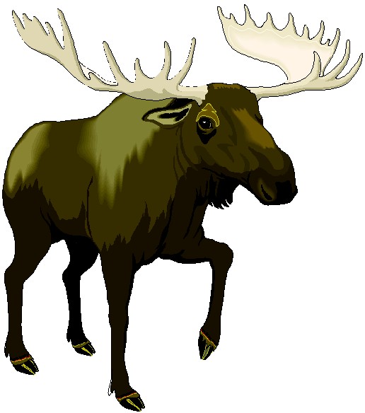 516x584 Funny Moose Clipart