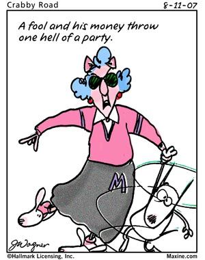 300x380 774 Best Humor Amp Sarcasm Images Dumb People Quotes