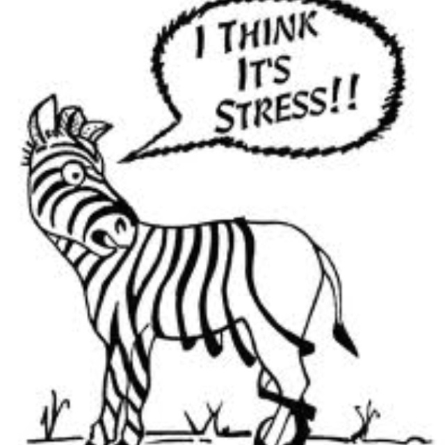 Funny Stressed Out Pictures | Free download on ClipArtMag