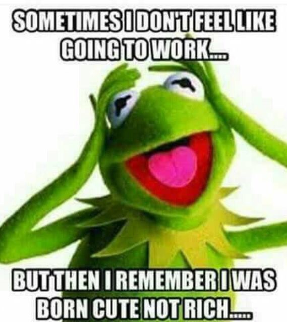 569x638 1222 Best Memes Images Haha, Funny Images And Boyfriend