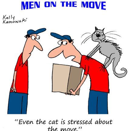 432x432 16 Best Moving Humor Images Smile