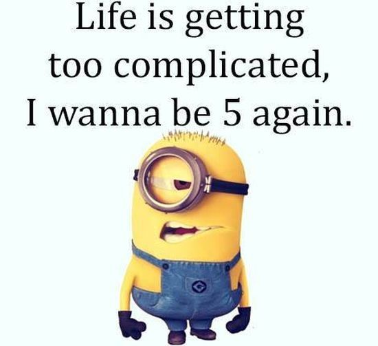 550x503 1641 Best Funny Images Beautiful Horses, Creative