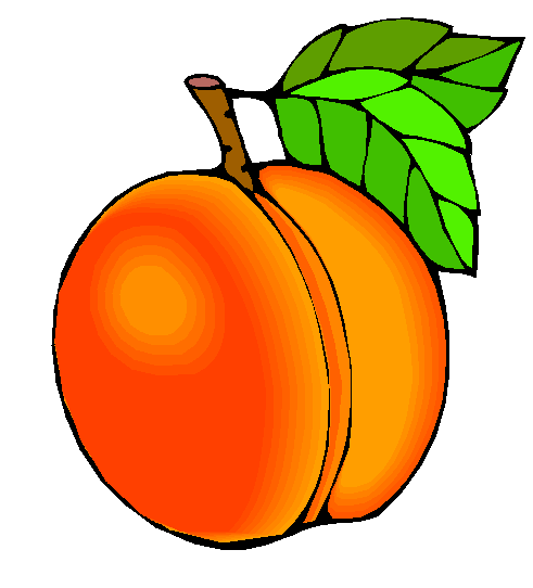 491x542 Georgia Peach Clip Art Cliparts