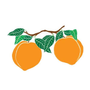 300x300 Peach Border Clipart Kid