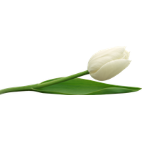 200x200 Download Galaxy Png Clipart Hq Png Image Freepngimg