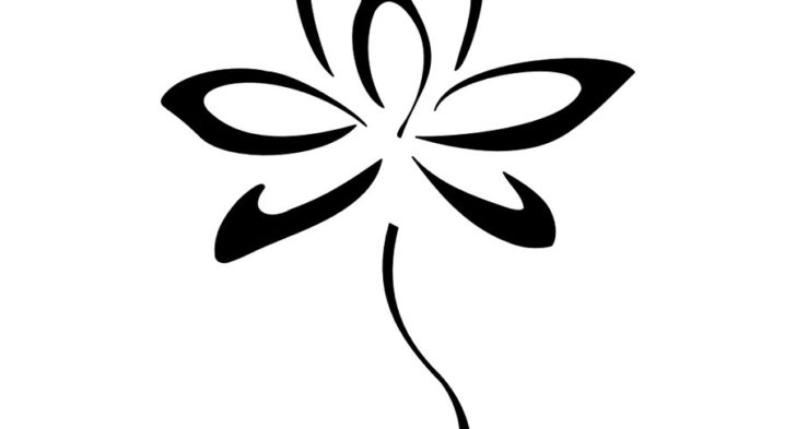 728x393 Simple Lotus Flower Drawing Ideas About Lotus Drawing