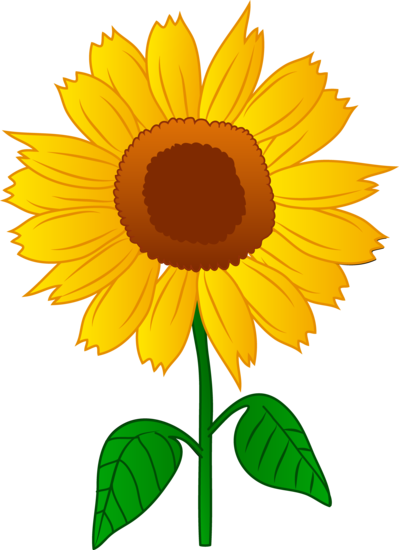 399x550 Pretty Golden Sunflower Flowers Amp Plants