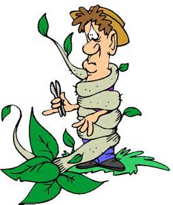 253x300 Garden Row Clipart Vegetable