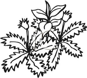 300x267 Garden Weed Clipart