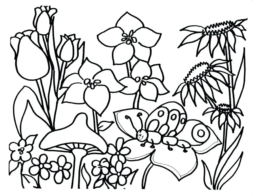 1024x791 Coloring Pages Garden Buy Secret An Inky Treasure Hunt And Book 52