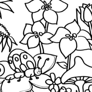 300x300 Lovable Simple Garden Coloring Pages