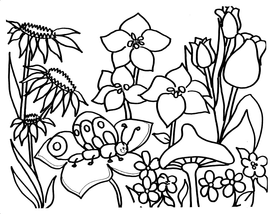 882x700 Picture Garden Coloring Pages 17 For Free Coloring Book