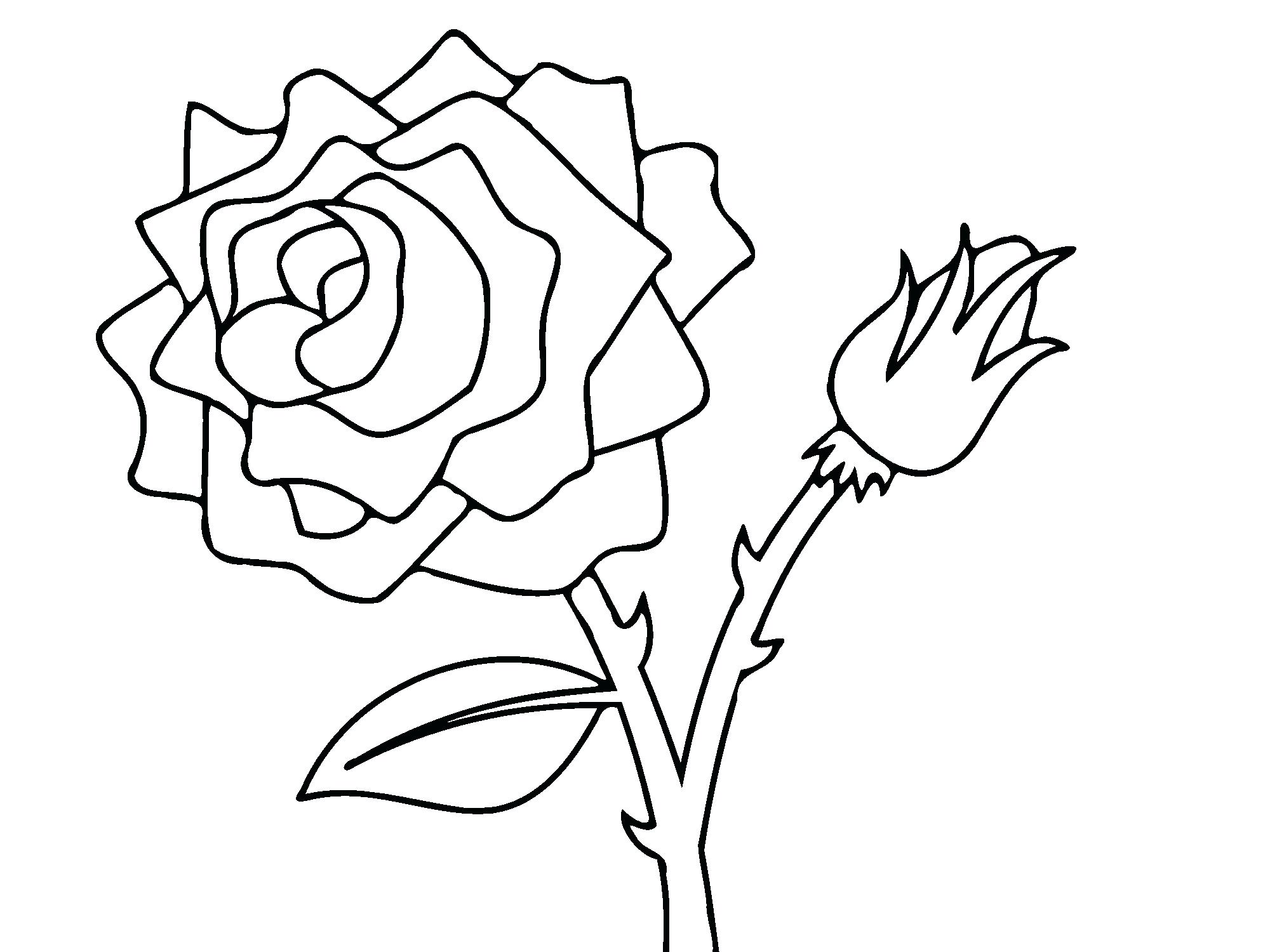 2000x1500 Beautiful Free Printable Rose Coloring Pages For Your Kids