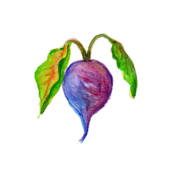 570x570 The Best Garden Clipart Ideas Card Drawing