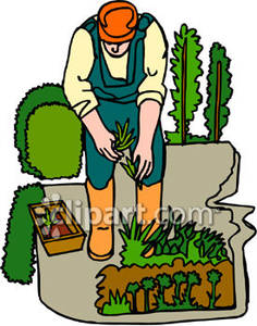 236x300 Planting New Plants In A Garden