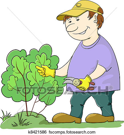 432x470 Clip Art Of Gardener Cuts A Bush K8421586
