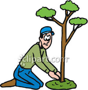 293x300 Gardener Planting A Tree Royalty Free Clipart Picture