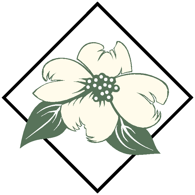 675x675 Dogwood Flower Clip Art
