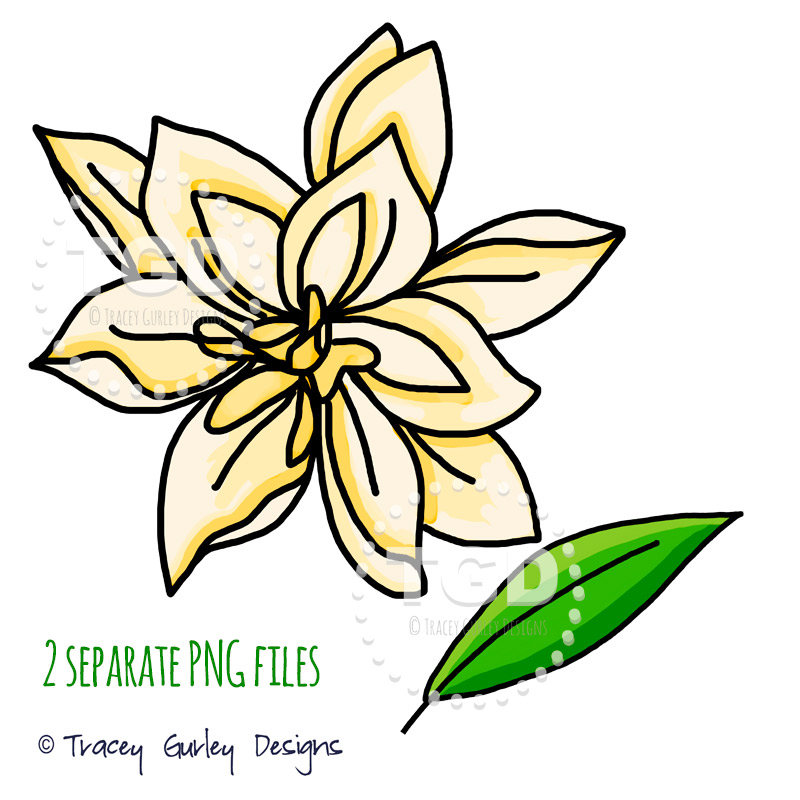 800x800 Gardenia Clip Art Floral Clipart Line Art Digital Clip Art