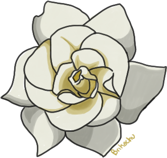 331x313 Gardenia Clipart Collection