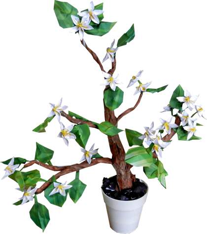 420x474 Joost Langeveld Origami Page