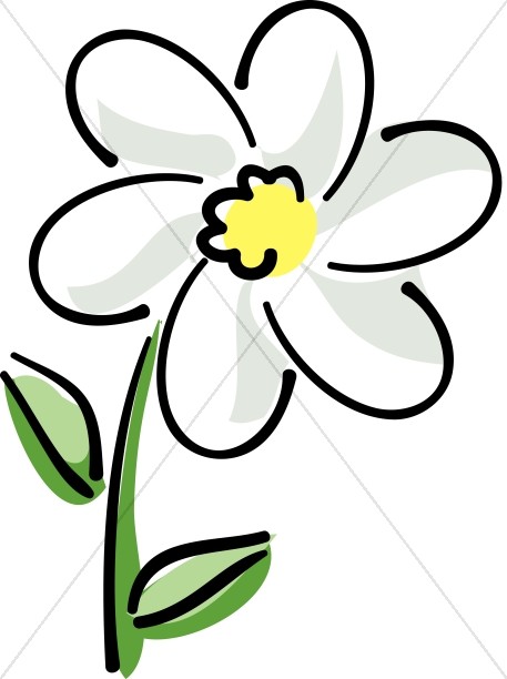 457x612 Lily Flower For The Easter Altar Church Flower Clipart