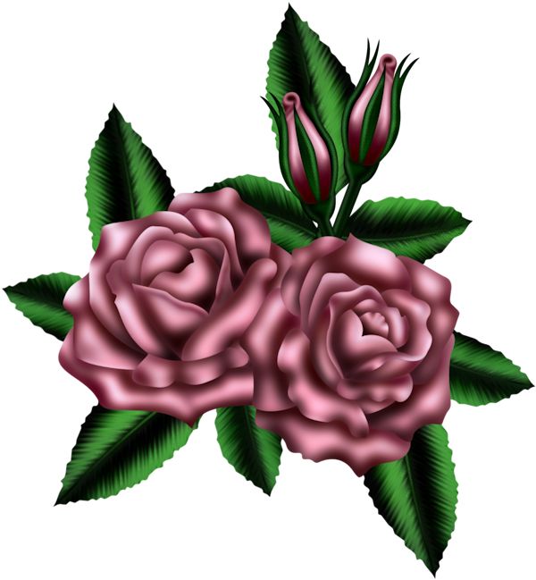 600x649 837 Best ~ Roses ~ Images Clip Art, Heart And Hearts