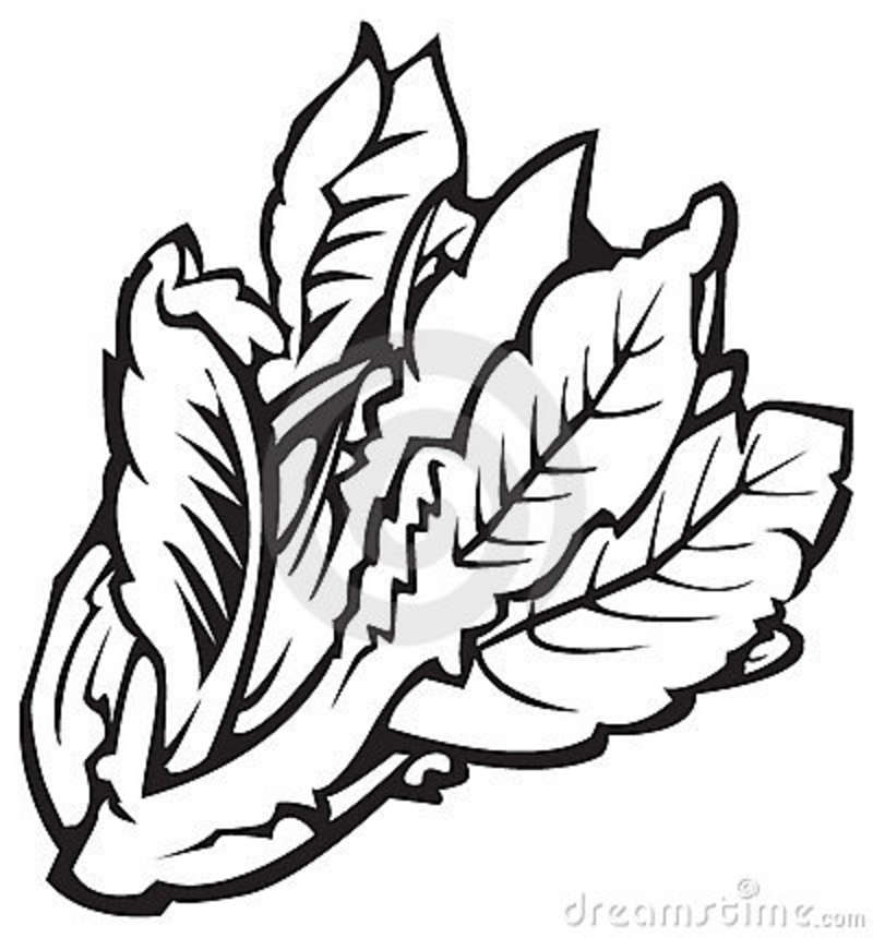 800x860 Black And White Vegetable Garden Clipart