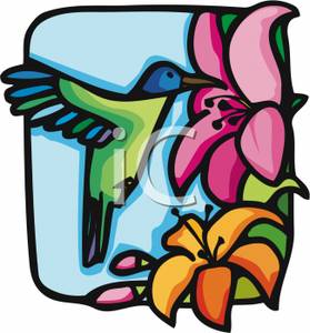 279x300 Picture A Hummingbird Gathering Nectar From Flowers