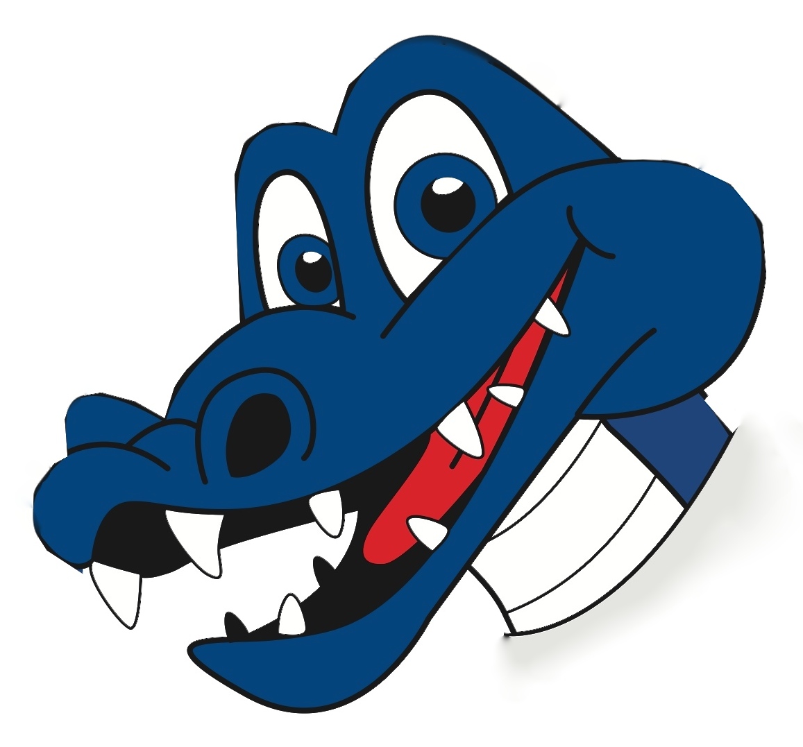 1157x1077 Ancillae Assumpta Academy Home Of The Blue Gators