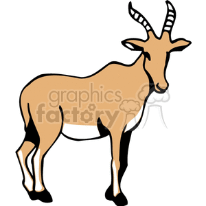 300x300 9537 Animal Clip Art Amp Graphics