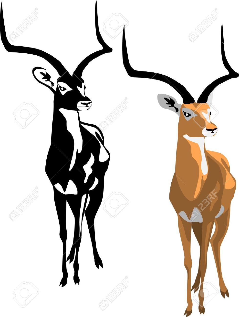 979x1300 Gazelle Impala Clipart