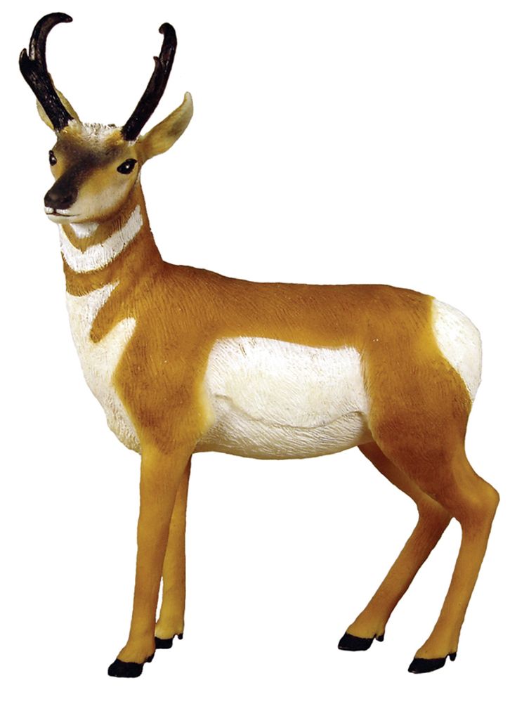736x1012 Top 81 Antelope Clipart