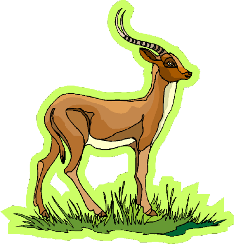 481x500 Top 88 Gazelle Clip Art
