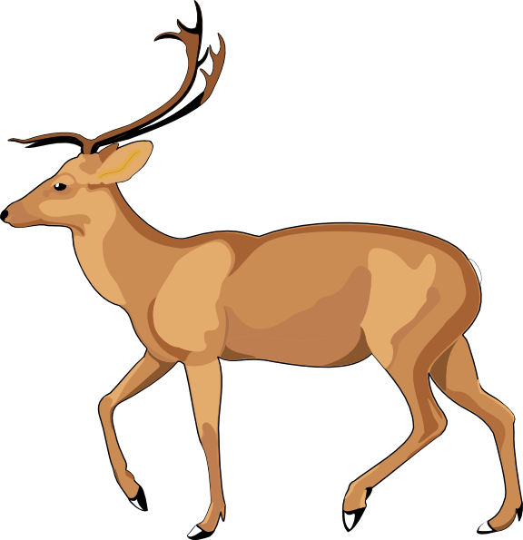 576x595 Top 88 Gazelle Clip Art