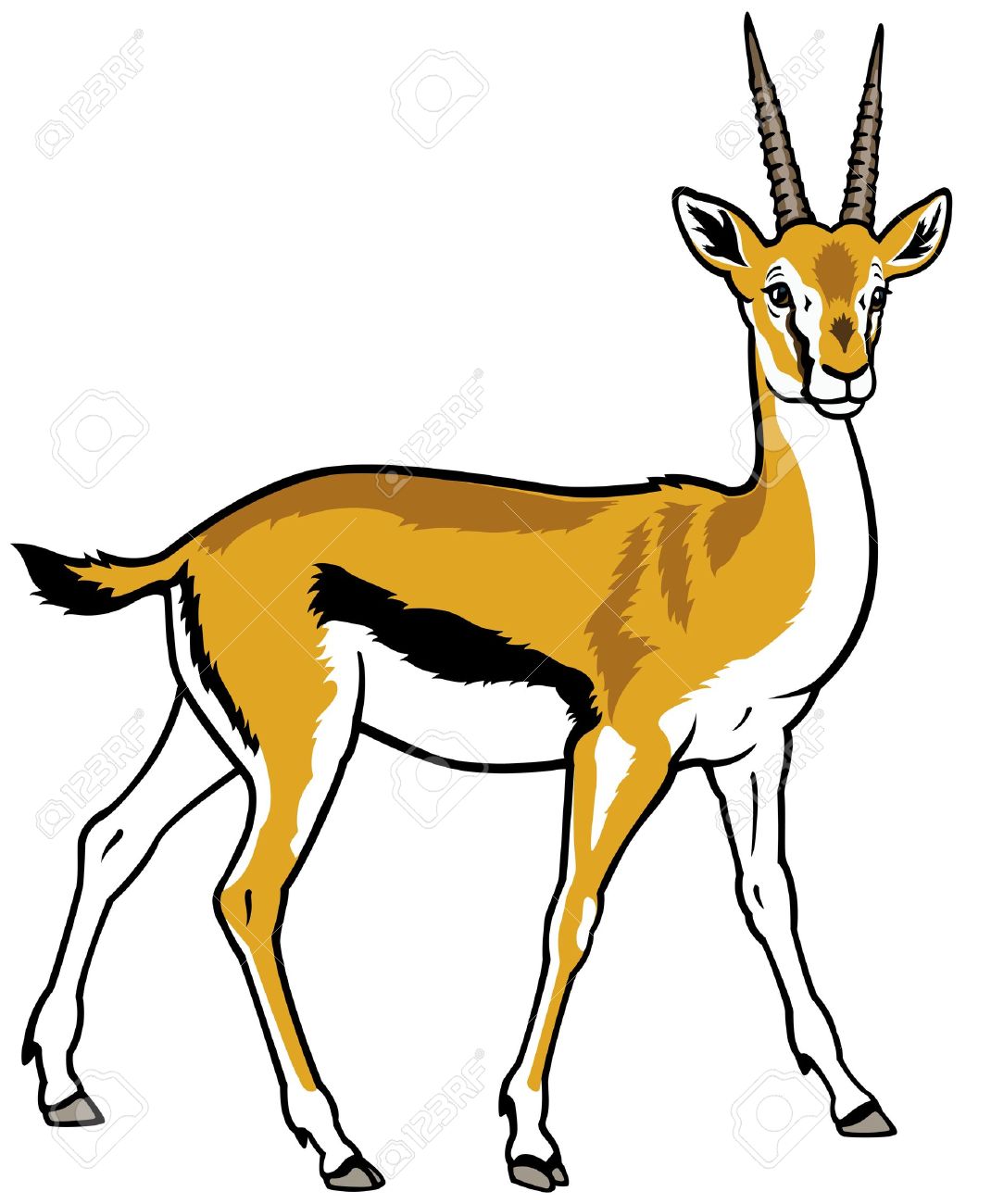 1070x1300 Animl Clipart Gazelle