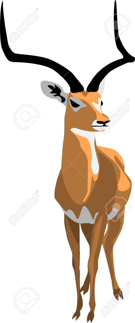 544x1300 Top 95 Impala Clip Art