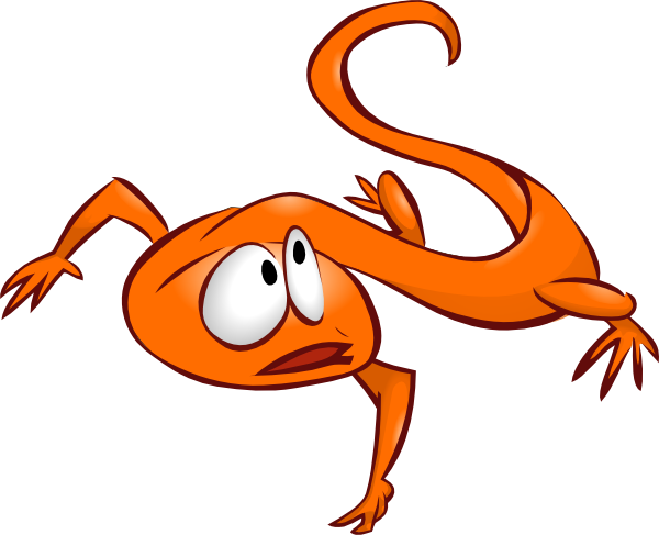 600x487 Gecko Clip Art