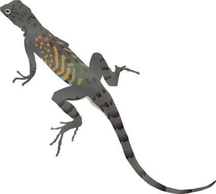 425x383 Lizard Clip Art Download